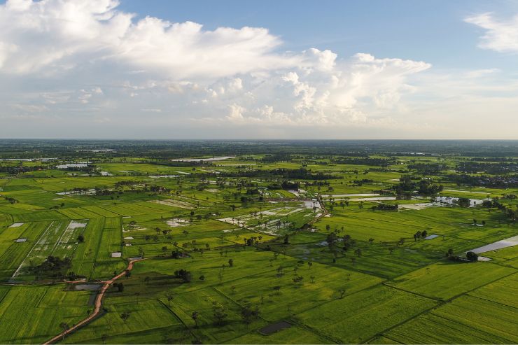 Trevoc Plots Karnal 